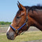 Country Pride 2-Tone Narrow Beta Halter